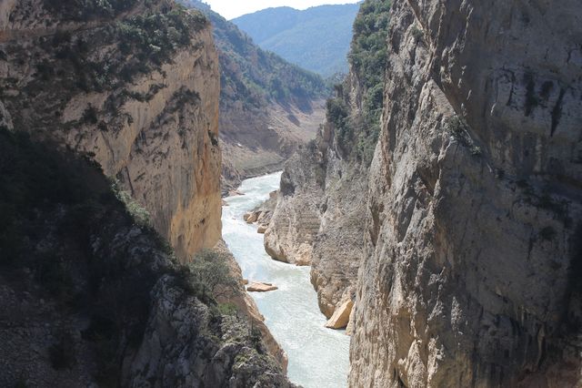 IMG_0686.JPG